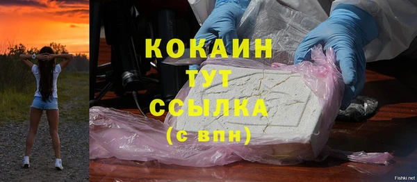 прущие крисы Белокуриха